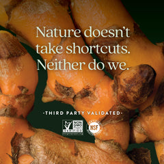 New Chapter Turmeric Force Nighttime holy basil close-up signals gentle mood support.