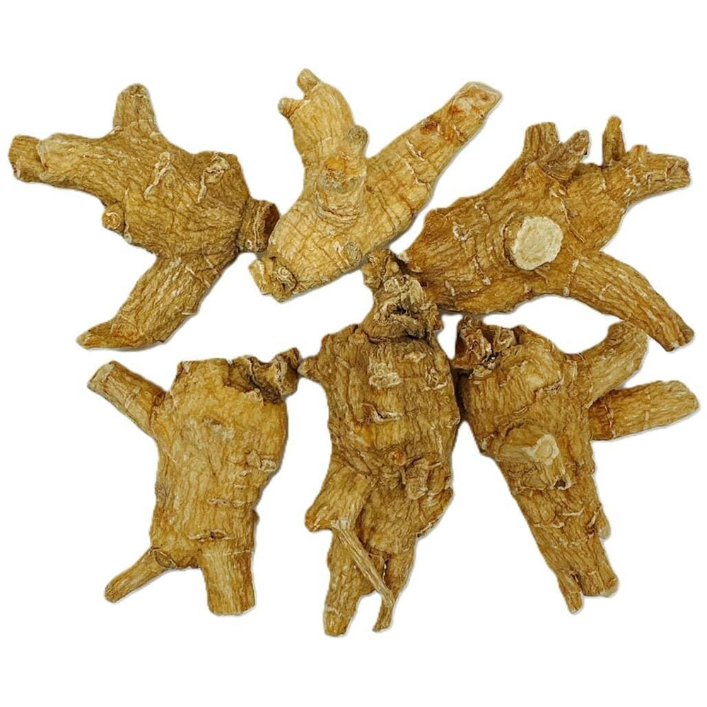 New Green Nutrition American Ginseng slices in cup for soothing tea infusion.