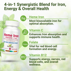NEW ROOTS HERBAL folate and B12 illustration highlights blood and energy support