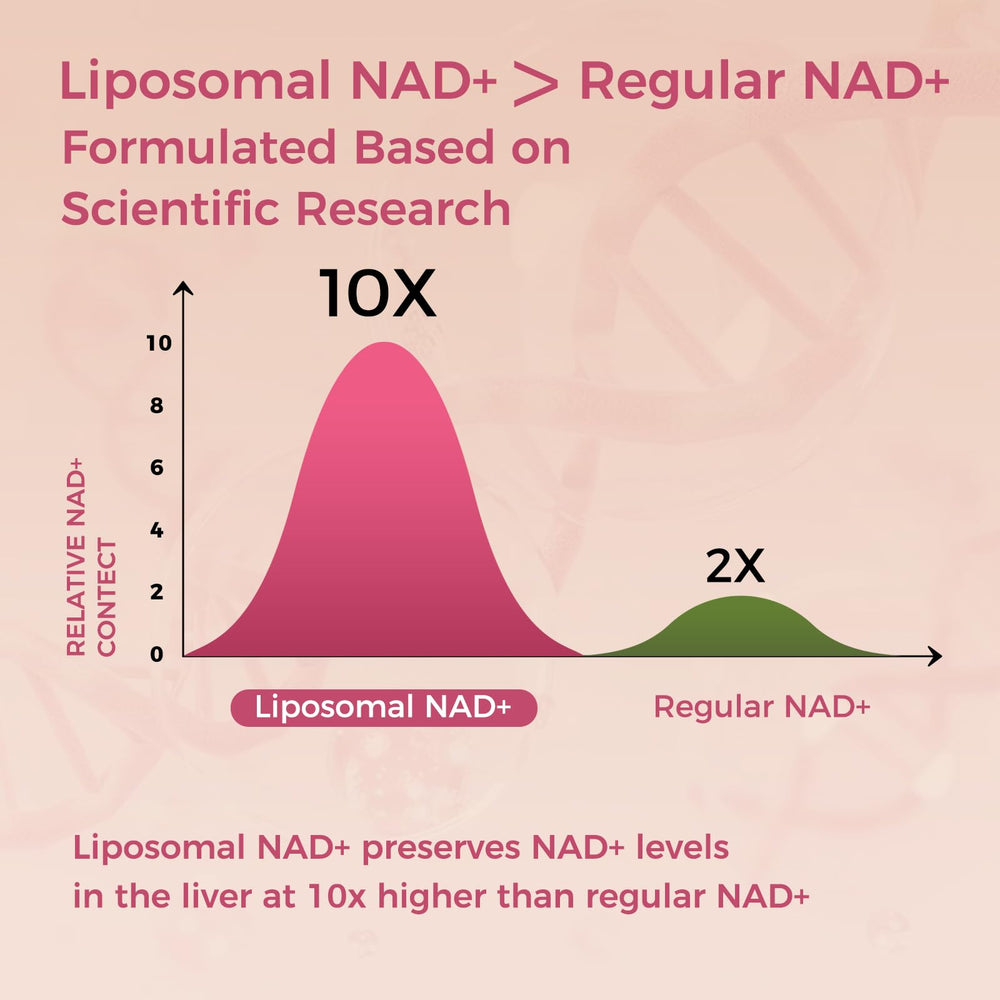 NEWOLITE NAD+ bottle on shelf signals a long-lasting 60-day supply.