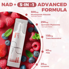 NEWOLITE NAD+ bottle with GMP badge emphasizes purity and safety.