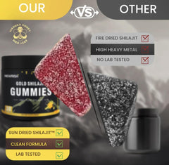 Newrish Shilajit Gummies in gym bag ready for workout days