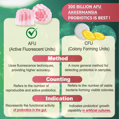 Vitamins A D3 B2 in Nextdia Akkermansia Gummies support daily vitality and metabolism