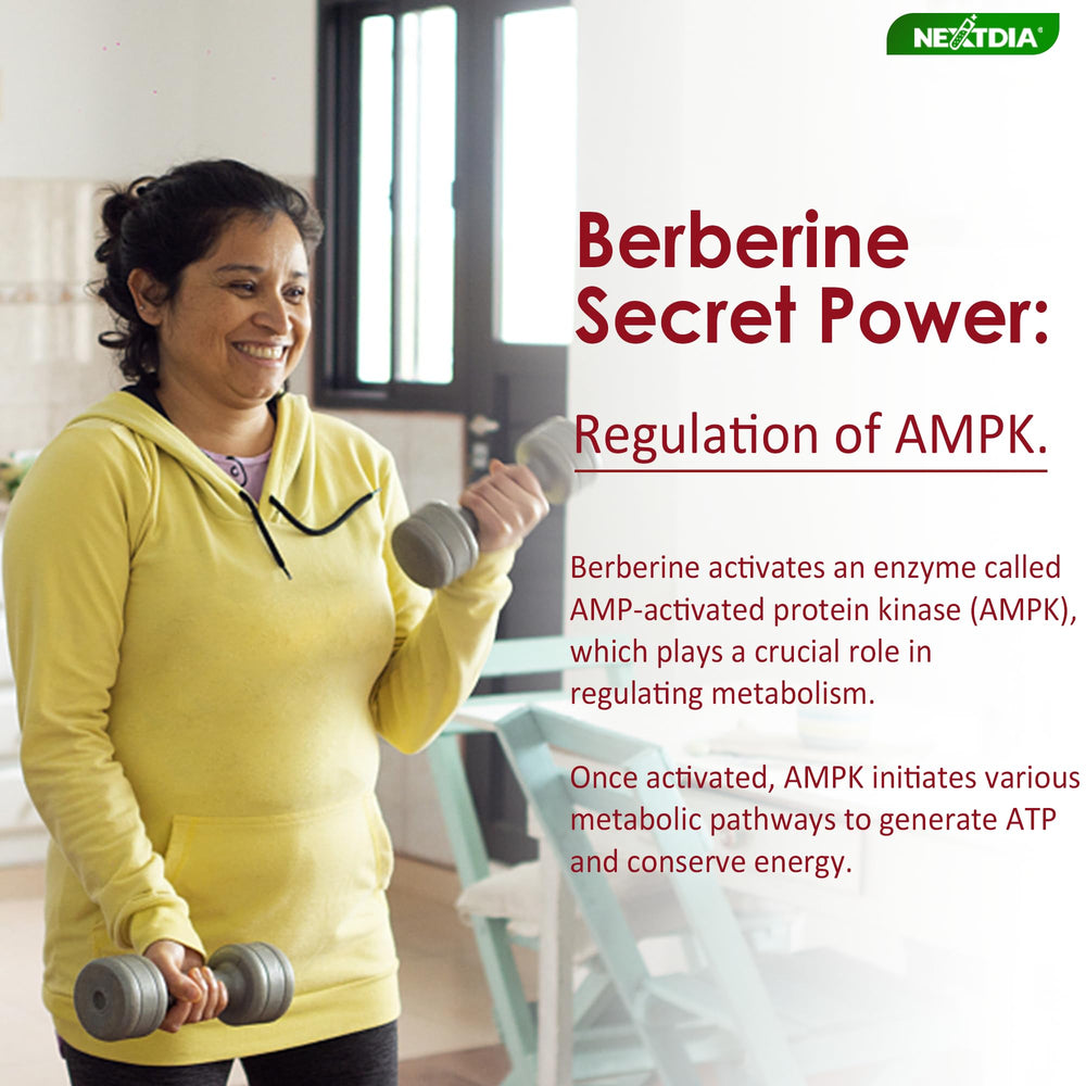 Nextdia Berberine Gummies milk thistle leaf hints heart-friendly balance