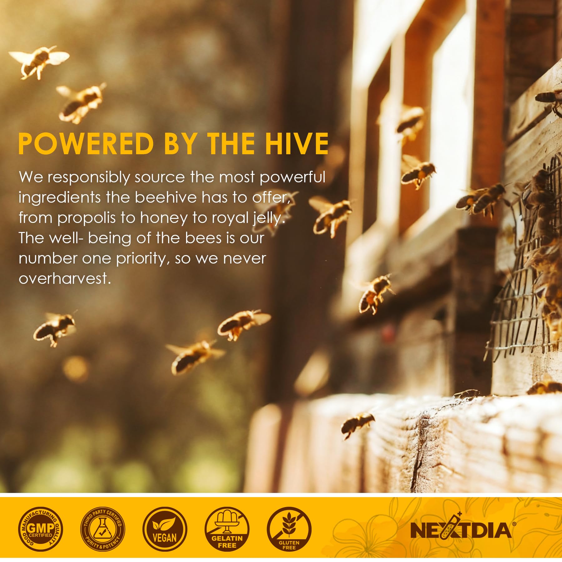 Nextdia CGMP-certified organic facility badge signals quality standards.
