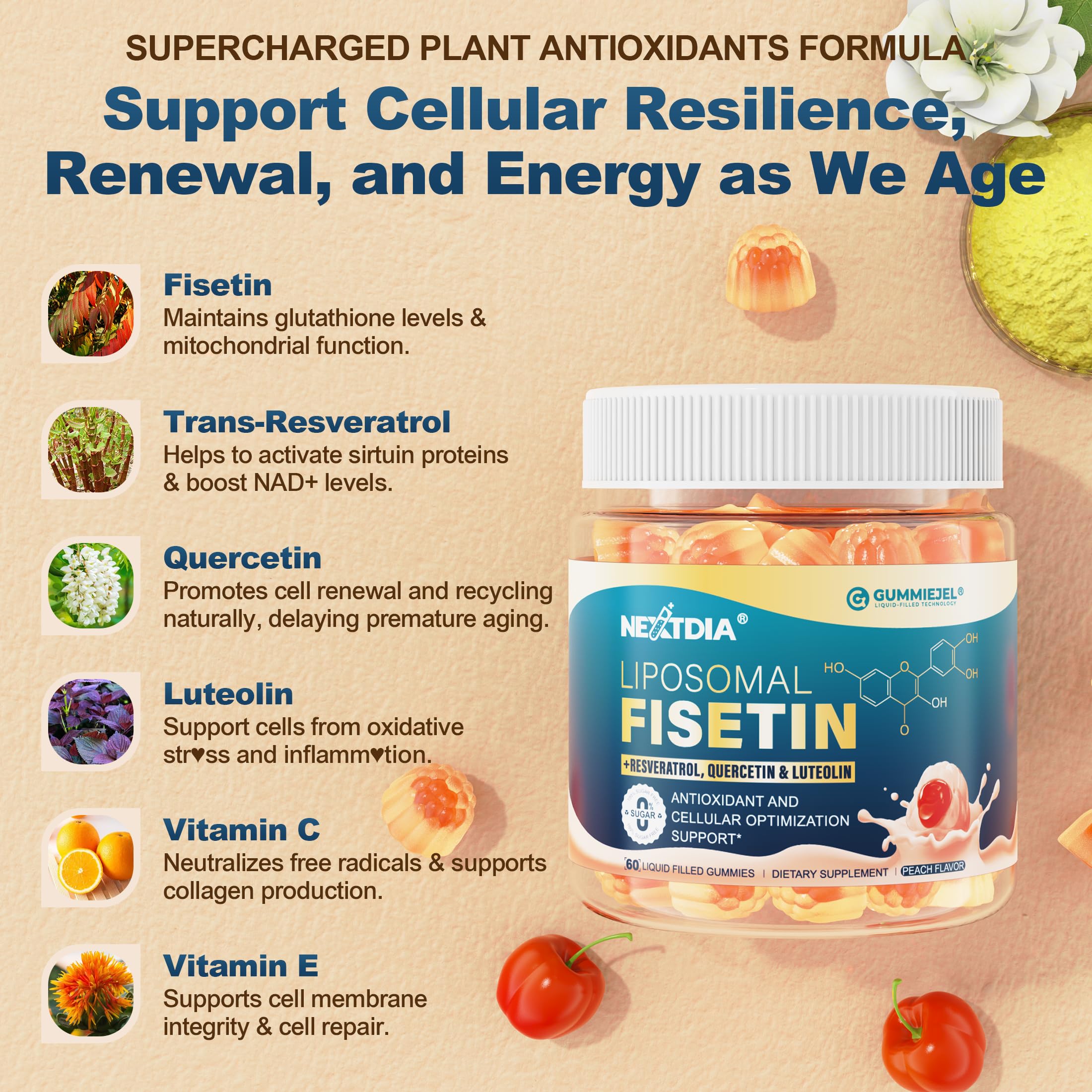 Nextdia liposomal fisetin gummies ingredients panel with resveratrol and quercetin for antioxidant support
