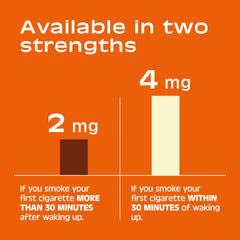 Nicorette Cinnamon Surge flavor provides a long-lasting taste during use.