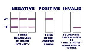 Nicotests saliva collection step highlights user-friendly sampling.