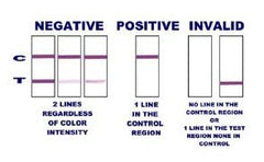 Nicotests saliva collection step highlights user-friendly sampling.