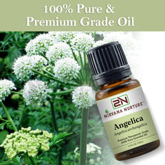 Nirvana Nurture Angelica Oil GC/MS certificate badge indicates quality.