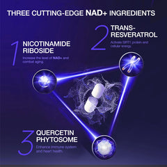 NLMUBR LUCKSIT liposomal NAD absorption close-up signals advanced delivery.