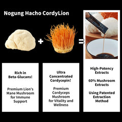 Nogung CordLion label closeup highlights real mushroom extracts