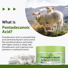 Nokuba Pentadecanoic Acid 300mg capsules closeup for convenient daily use