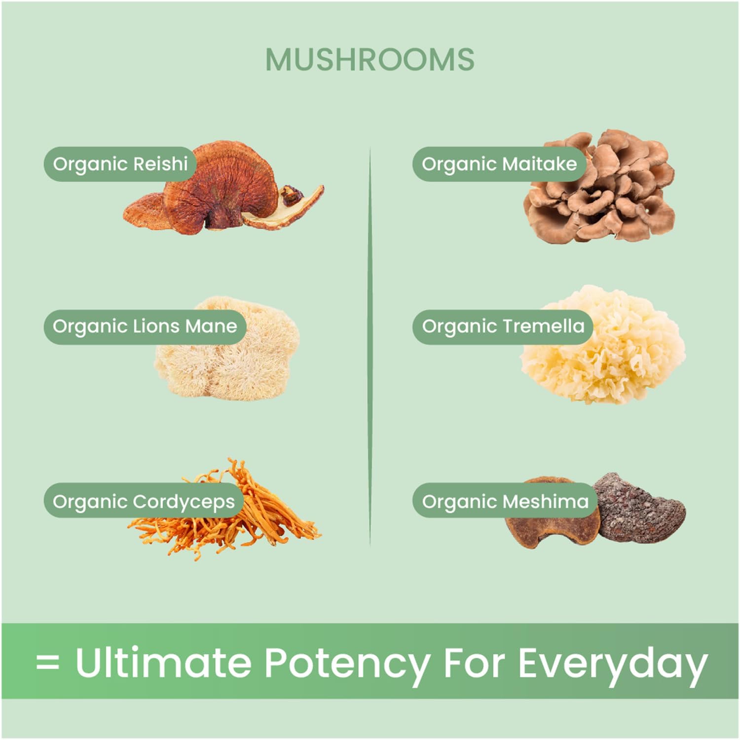 Label on Life Daily powder highlighting six organic mushrooms