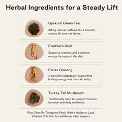 NOOCI Energy + Immunity blend with ginseng for sustained focus