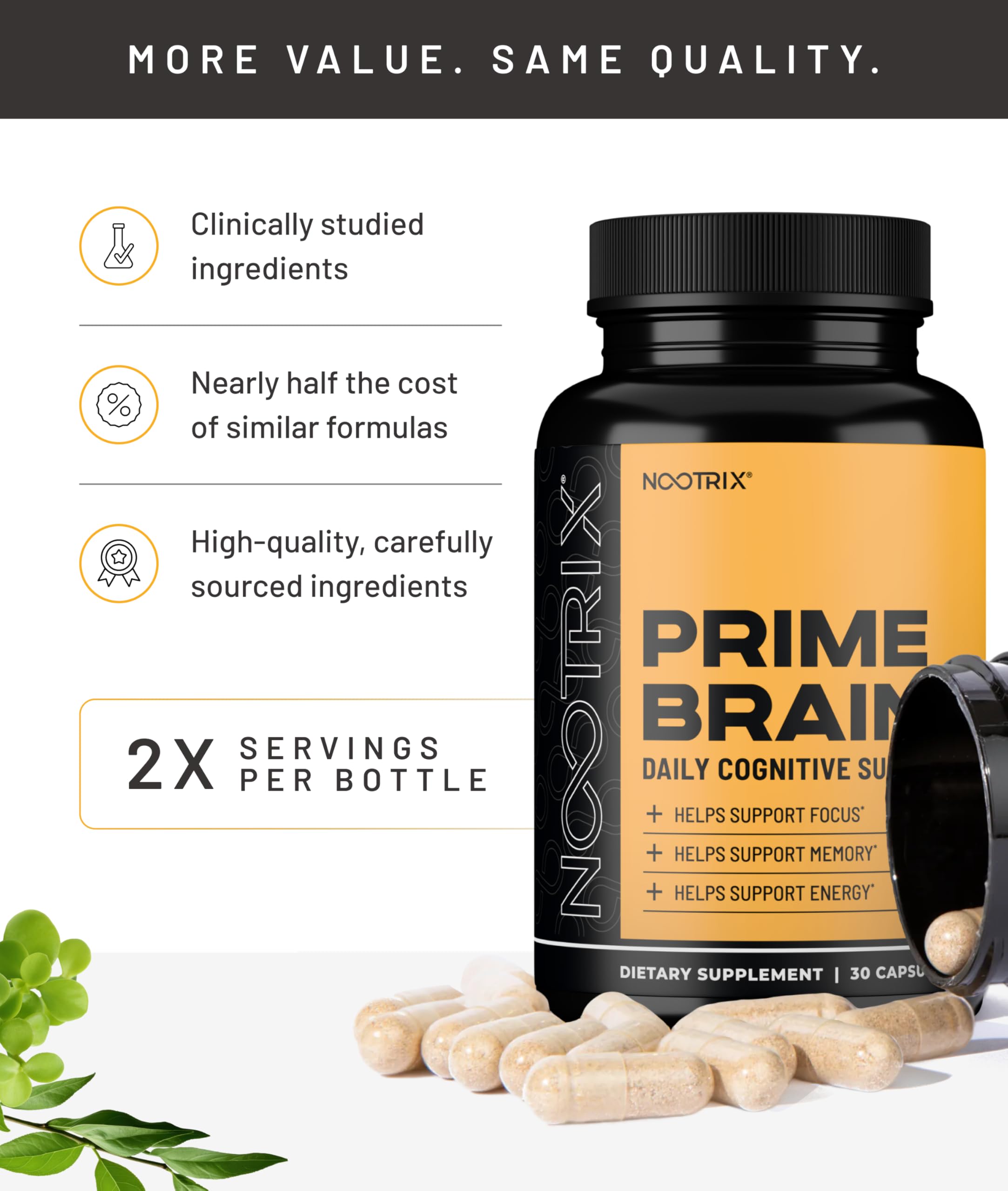 Nootrix Prime ingredients icons showing ginkgo biloba and lions mane.