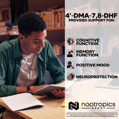 Nootropics Depot 4’-DMA-7,8-DHF bottle image with dosage clarity.