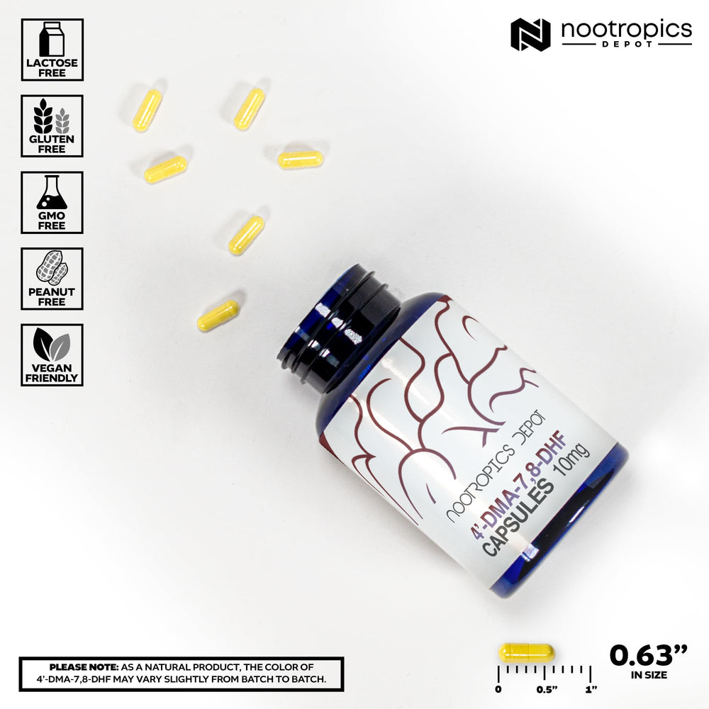 Nootropics Depot 4’-DMA-7,8-DHF capsules closeup shows smooth, swallowable capsules.