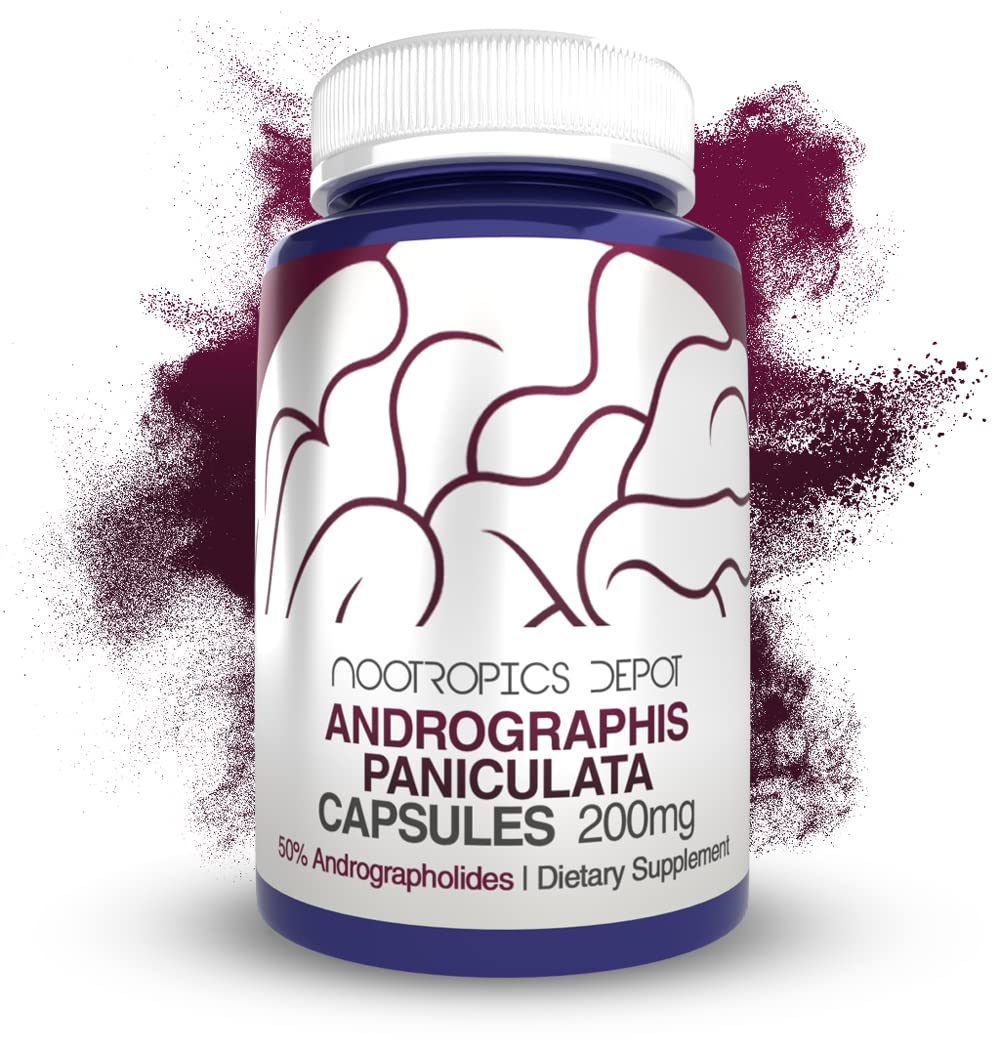 Nootropics Depot Andrographis Paniculata capsules bottle front, signaling immune support possibilities.