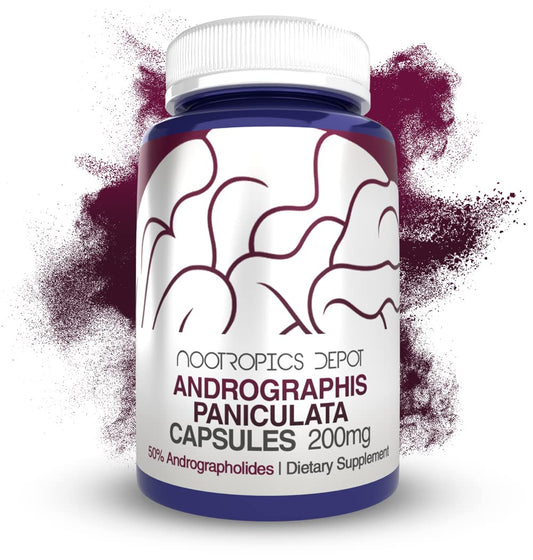 Nootropics Depot Andrographis Paniculata capsules bottle front, signaling immune support possibilities.