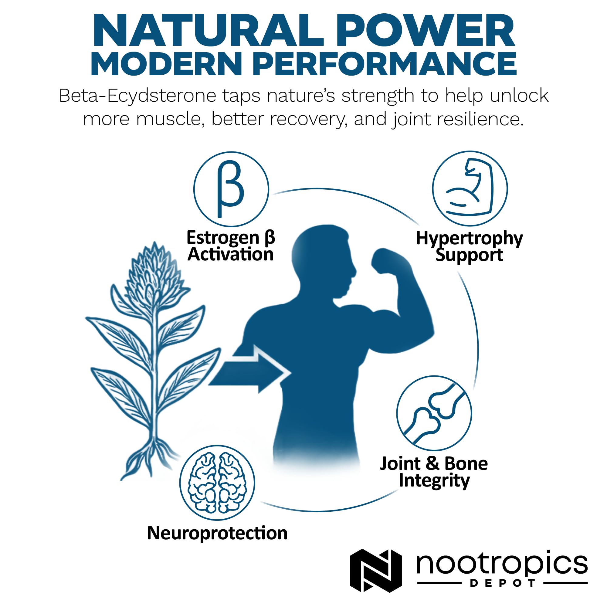 Joint health icon beside tablet imagery suggesting mobility support for active days.