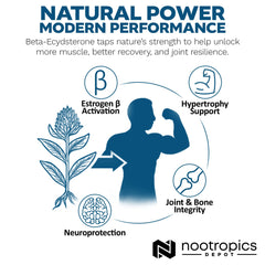 Joint health icon beside tablet imagery suggesting mobility support for active days.