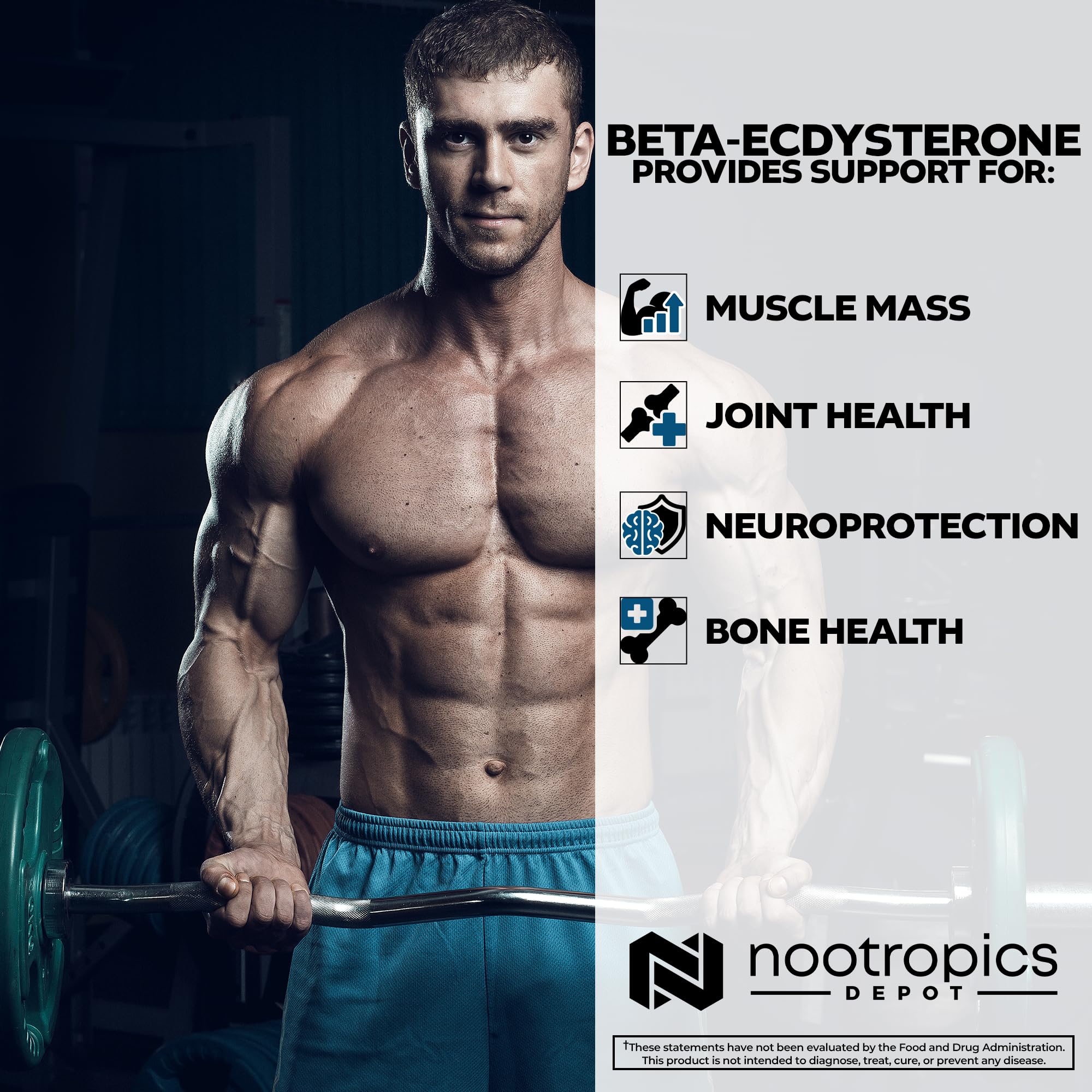 Gym scene with athletes representing potential strength and endurance use of the supplement.