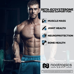 Gym scene with athletes representing potential strength and endurance use of the supplement.