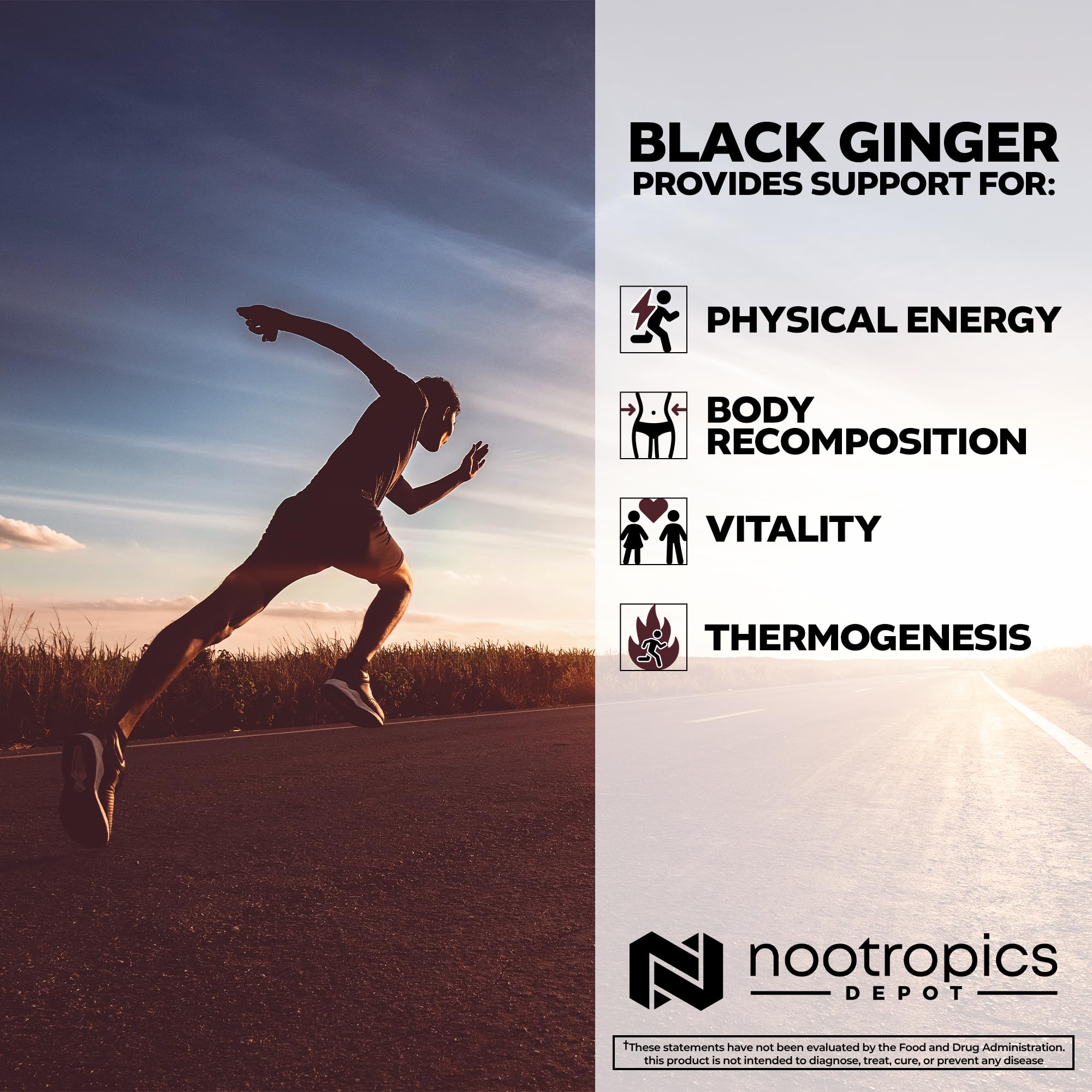 Nootropics Depot Black Ginger Extract bottle close-up with smooth capsules