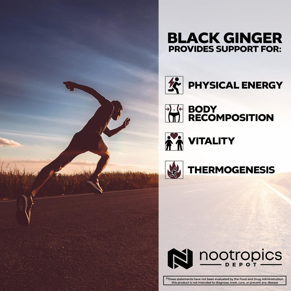 Nootropics Depot Black Ginger Extract bottle close-up with smooth capsules