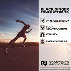 Nootropics Depot Black Ginger Extract bottle close-up with smooth capsules