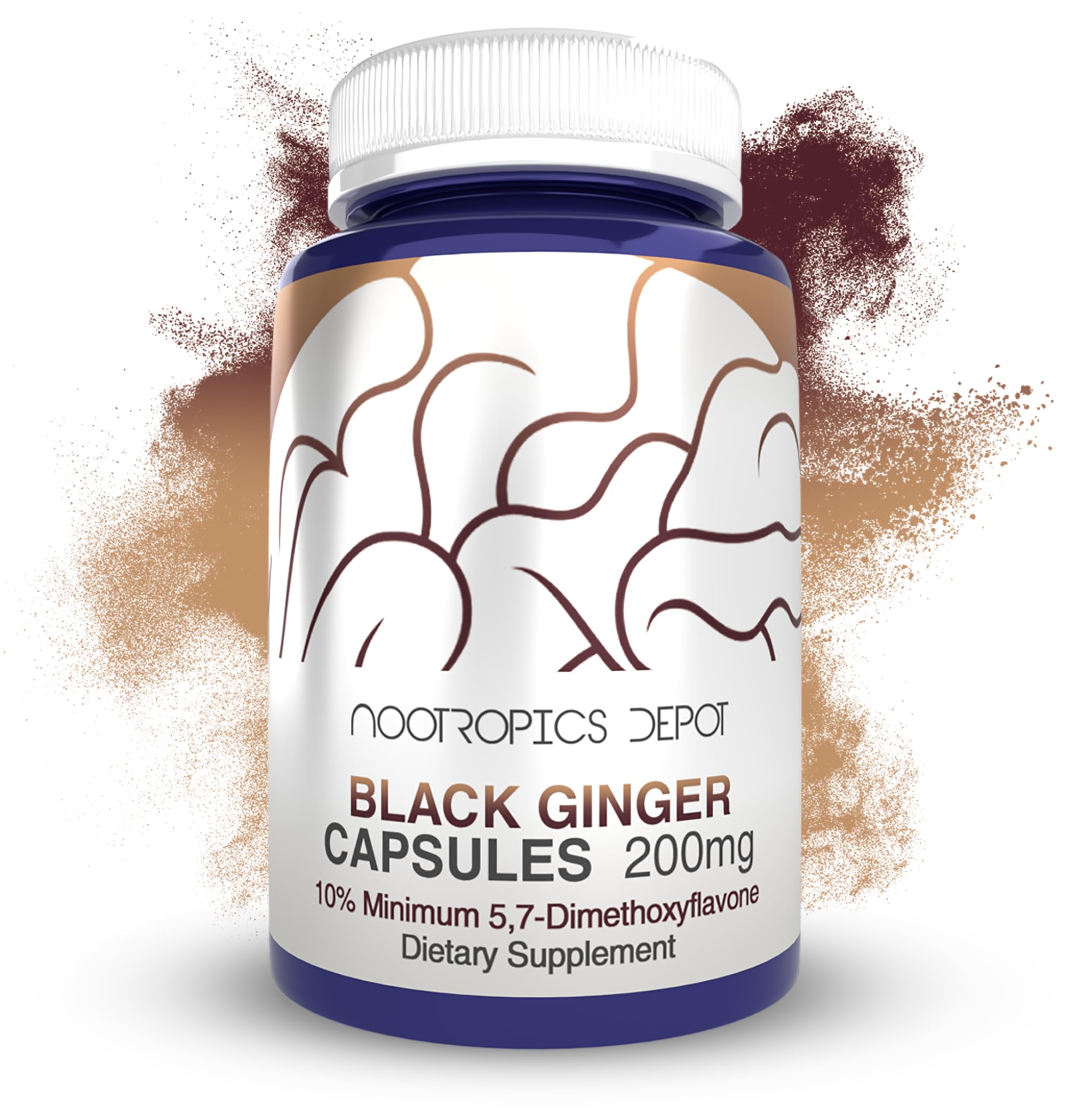Nootropics Depot Black Ginger Extract bottle showing high-potency capsules for daily energy