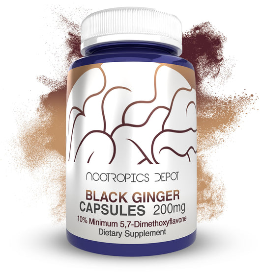 Nootropics Depot Black Ginger Extract bottle showing high-potency capsules for daily energy