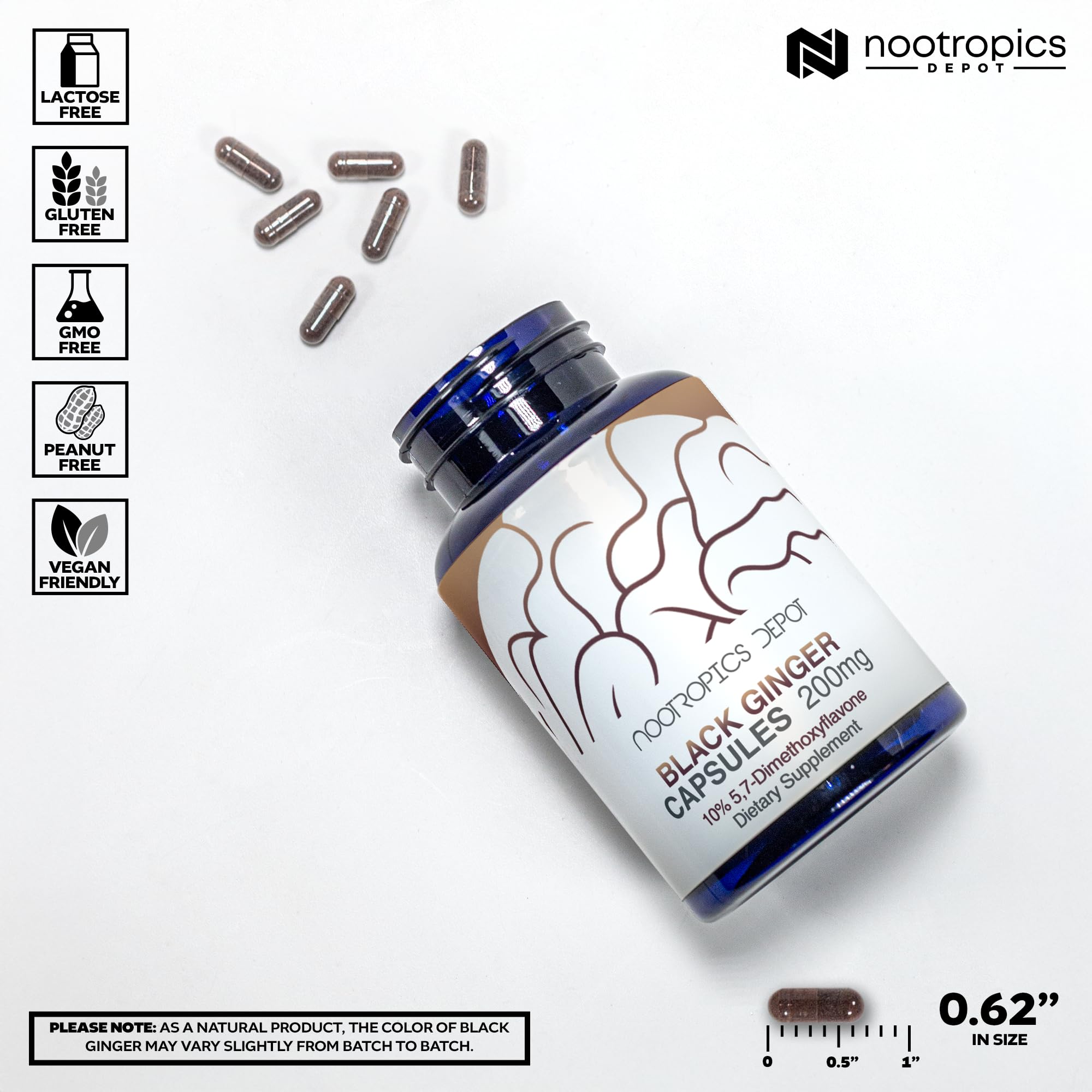 Nootropics Depot Black Ginger Extract label with potency and ingredient details