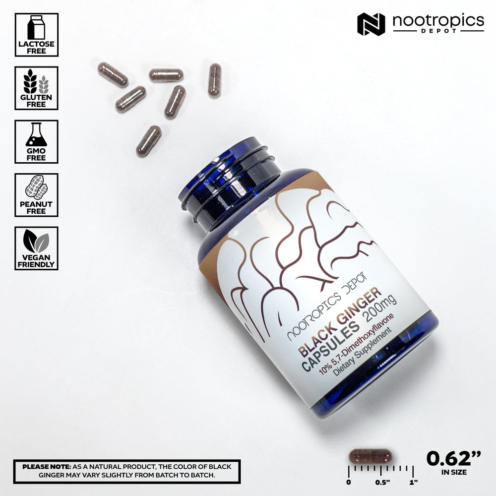 Nootropics Depot Black Ginger Extract label with potency and ingredient details