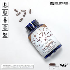 Nootropics Depot Black Ginger Extract label with potency and ingredient details
