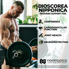 Bottle from Nootropics Depot on a shelf showcasing convenient daily capsules.