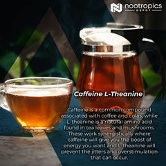 Nootropics Depot capsules held for on-the-go focus and alertness