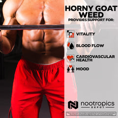 Nootropics Depot capsule top-view, easy daily supplement format.