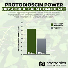 Close-up of Nootropics Depot capsules emphasizing quality and texture.