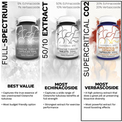 Daily-use scene with Cistanche capsules from Nootropics Depot for routine integration.