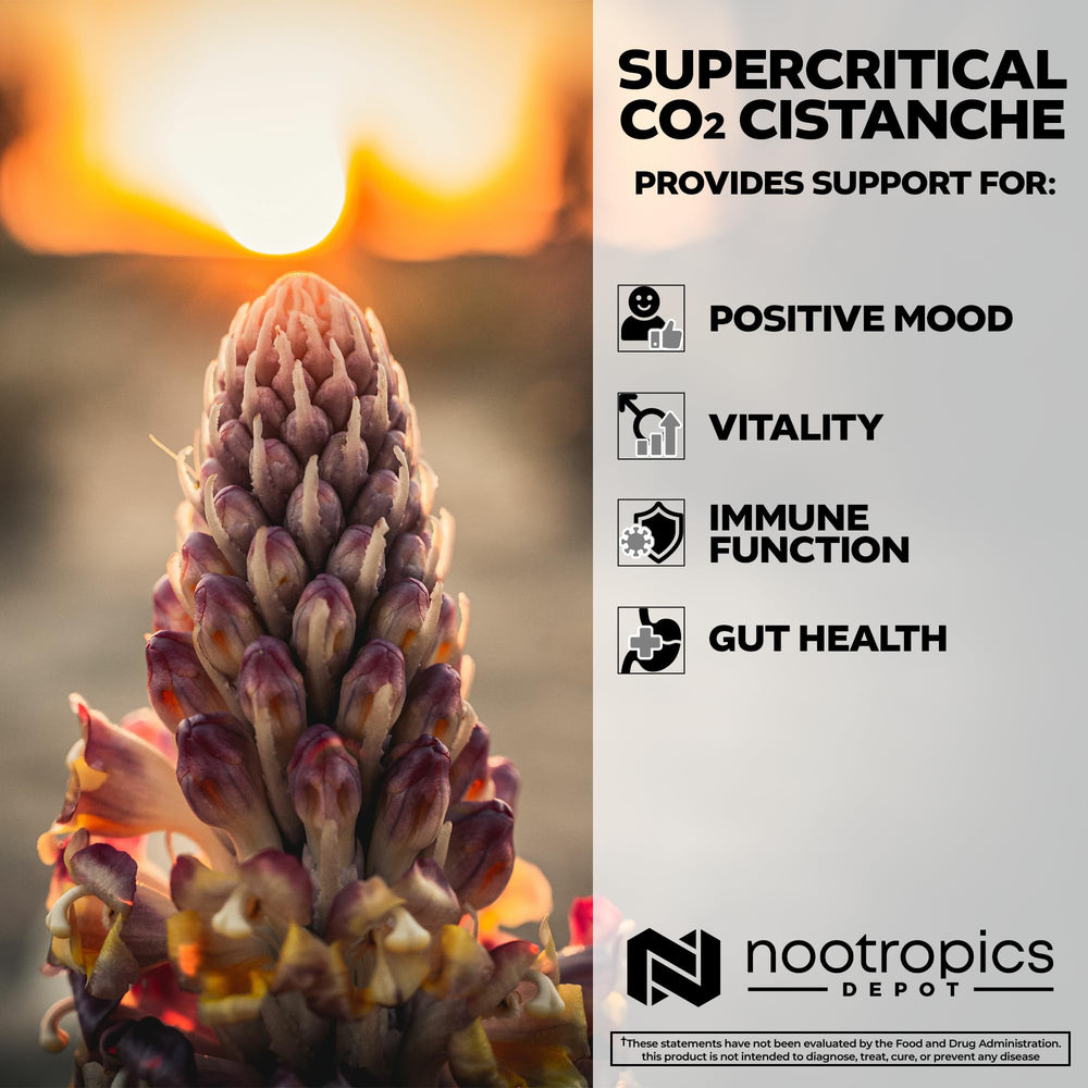 Front packaging of Nootropics Depot Cistanche highlighting premium extract.