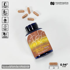 Product label highlights 5% echinacoside and 1% verbascoside for full-spectrum potency.