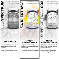 Nootropics Depot packaging shot conveys premium, lab-tested nootropic quality