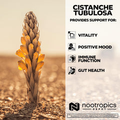 Nootropics Depot tablet texture close-up indicating compact energy support.