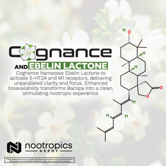 Nootropics Depot Cognance neuroprotection support visual