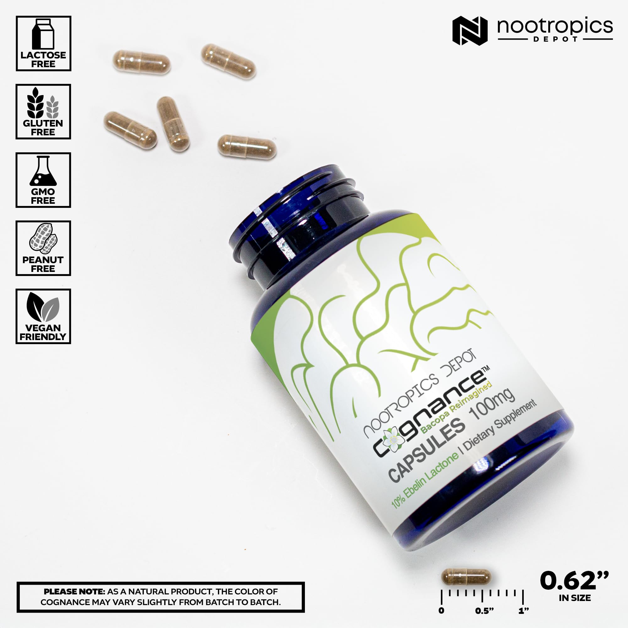 Cognance packaging front emphasizing Ebelin Lactone-standardized Bacopa benefits