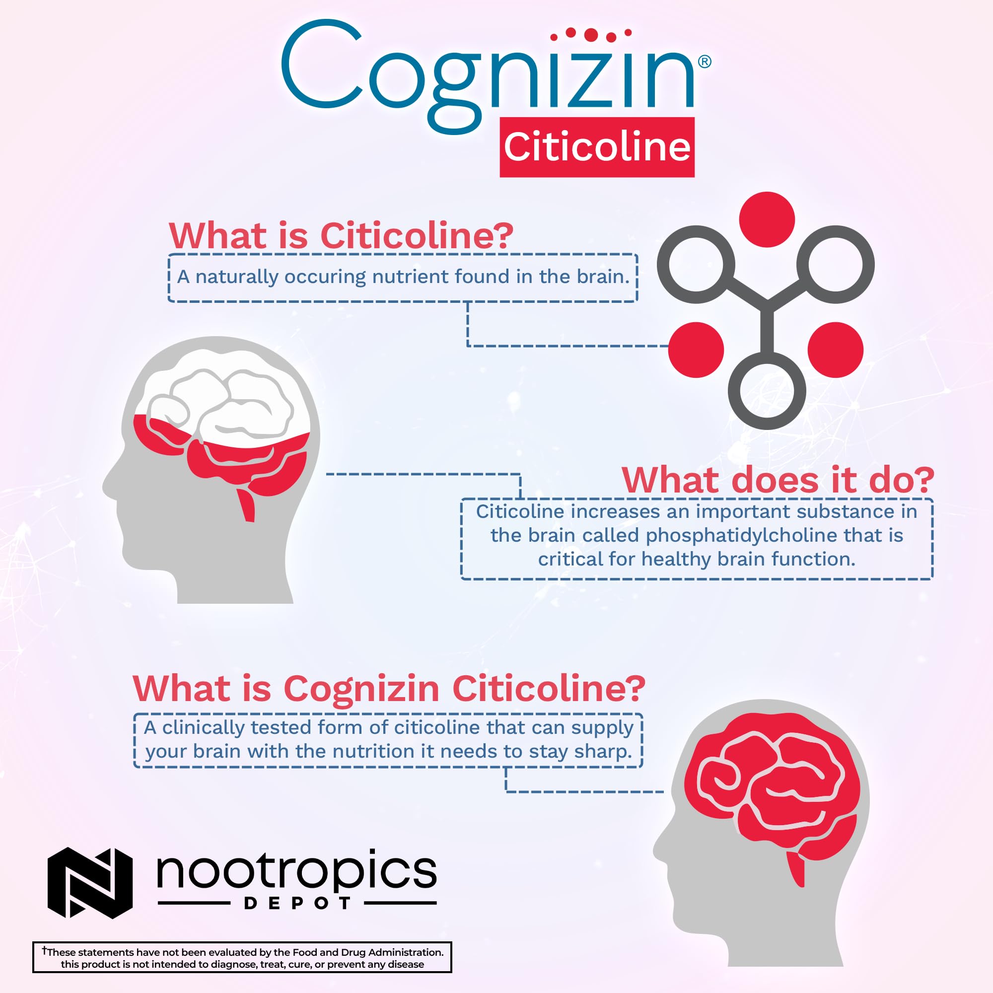 Nootropics Depot Cognizin Citicoline capsules amber bottle conveys everyday brain support