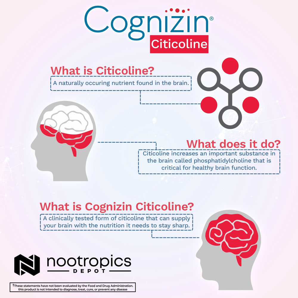 Nootropics Depot Cognizin Citicoline capsules amber bottle conveys everyday brain support
