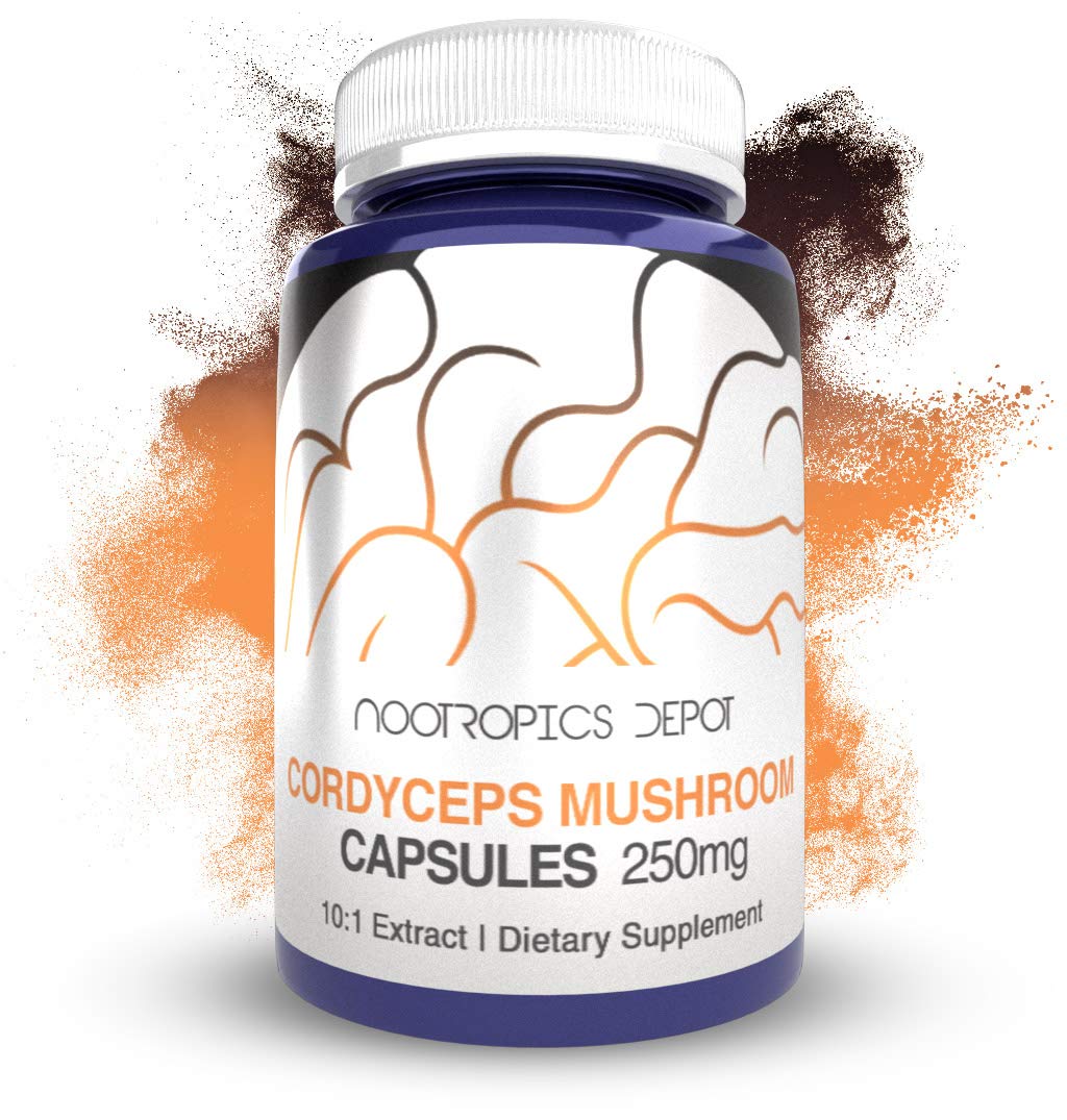 Nootropics Depot Cordyceps capsules jar front view highlighting 10:1 extract for daily focus